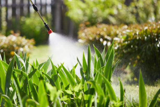 Tamper-Resistant Bait Stations for Rodents in Akron
